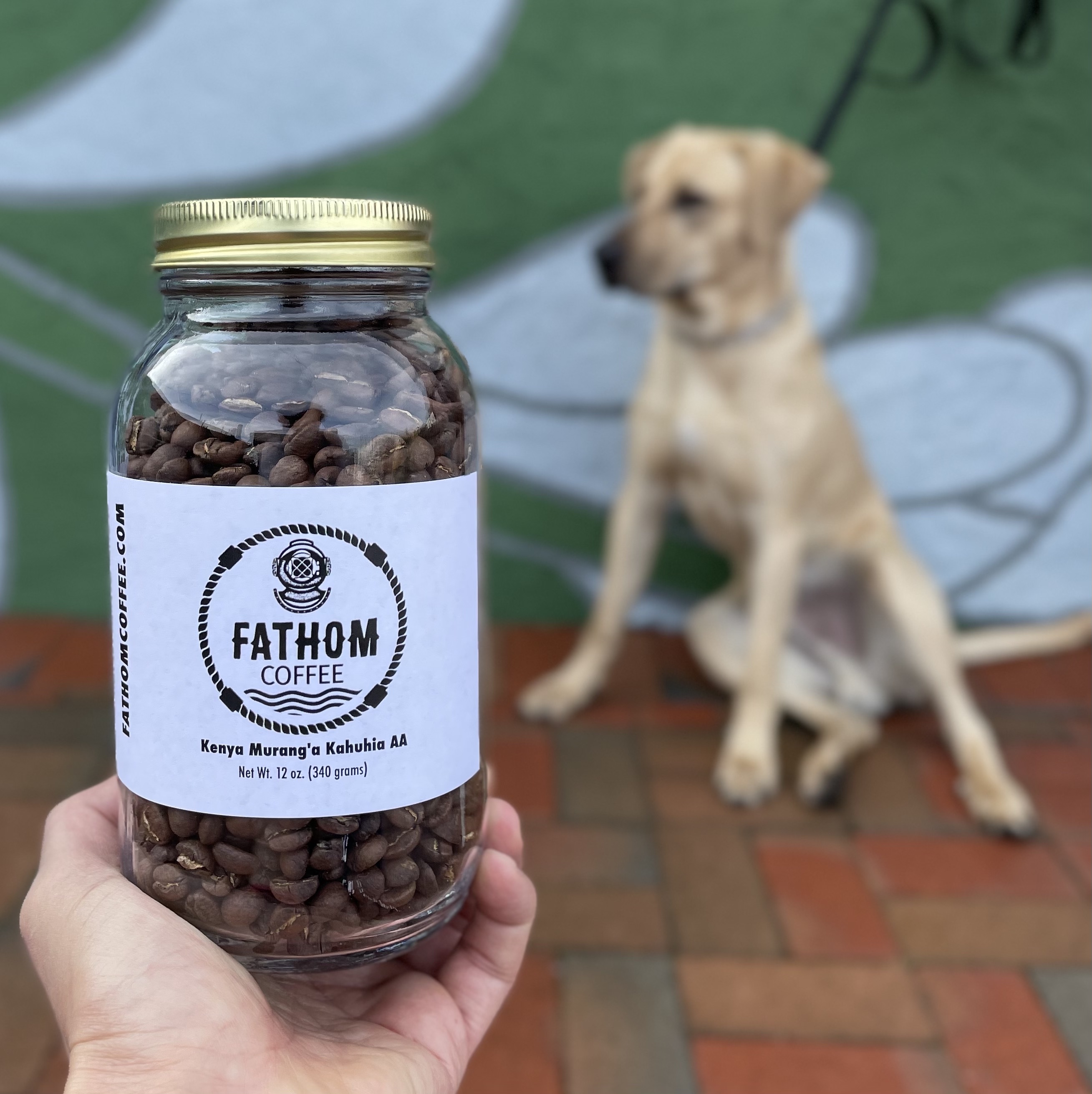 Kenya Murang'a Kahuhia AA, medium roast