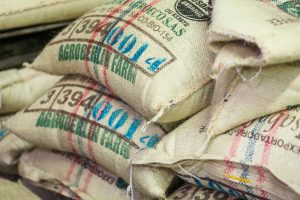 Guatemala Monjas Inmer Valladares Solar Gesha, medium roast